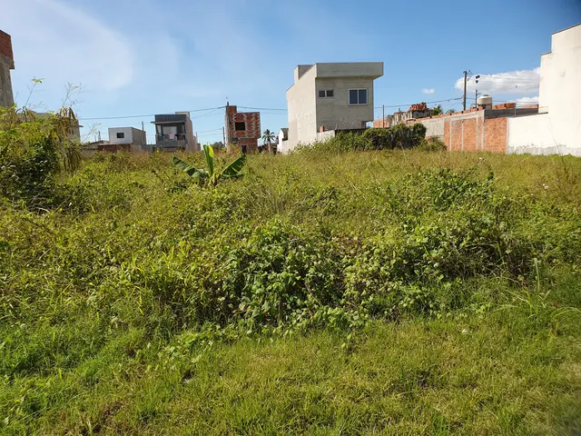 Terreno | Venda | Loteamento Portal dos Pássaros — foto 4