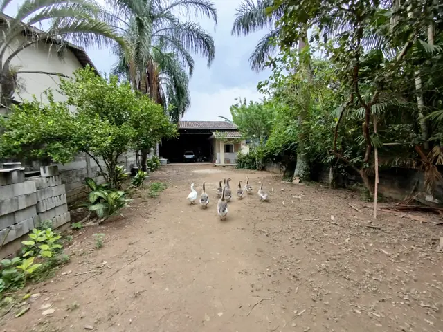 Terreno à venda na Praia das Palmeiras - Caraguatatuba / SP - Cod. TE0569 — foto 9