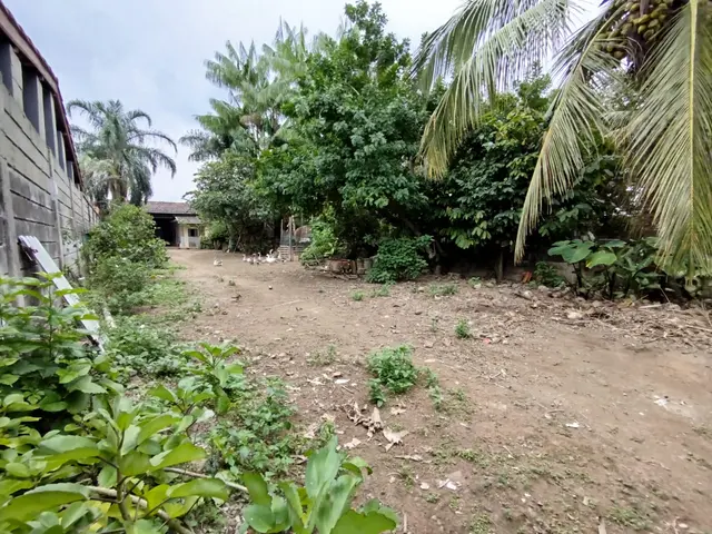 Terreno à venda na Praia das Palmeiras - Caraguatatuba / SP - Cod. TE0569 — foto 6