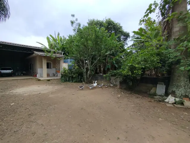 Terreno à venda na Praia das Palmeiras - Caraguatatuba / SP - Cod. TE0569 — foto 10