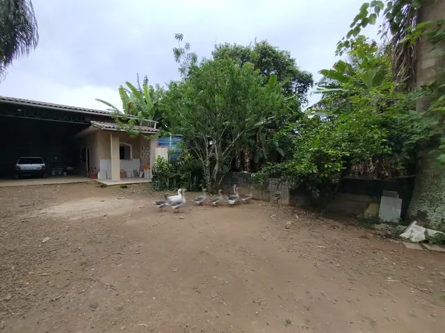 Terreno à venda na Praia das Palmeiras - Caraguatatuba / SP - Cod. TE0569 — foto 12