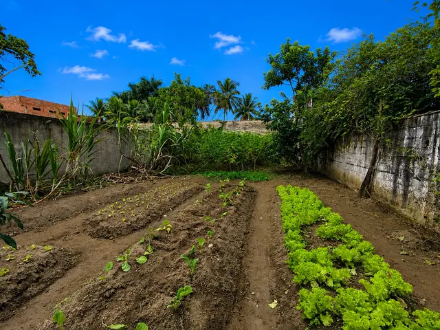 Terreno à venda na Praia das Palmeiras - Caraguatatuba / SP - Cod. TE0564