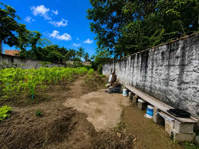 Terreno à venda na Praia das Palmeiras - Caraguatatuba / SP - Cod. TE0564 — foto 5
