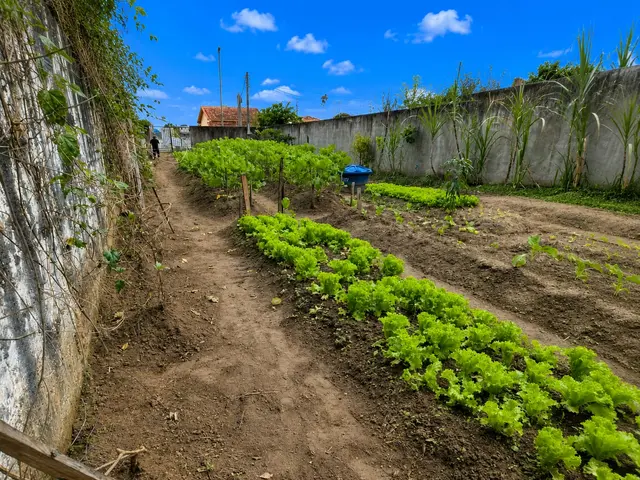 Terreno à venda na Praia das Palmeiras - Caraguatatuba / SP - Cod. TE0564 — foto 4