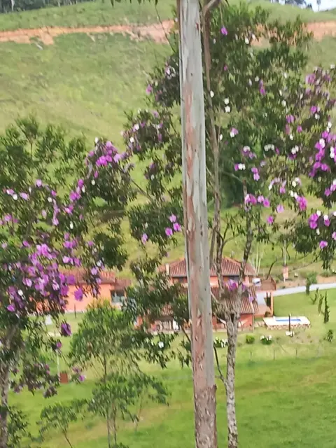 Sítio à venda no Pouso Alto - Natividade da Serra / SP - Cod. SI0001 — foto 9