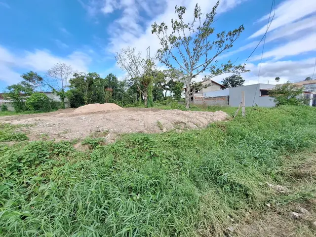Terreno à venda no Jardim das Gaivotas - Caraguatatuba / SP - Cod. TE0550 — foto 4