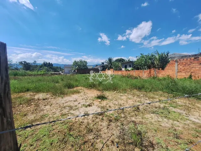 Terreno à venda no Balneário dos Golfinhos - Caraguatatuba / SP - Cod. TE0111 — foto 5