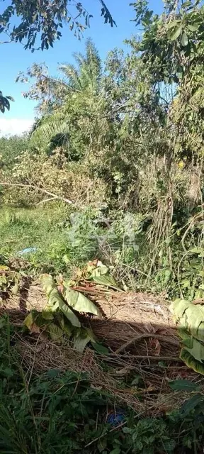 Terreno à venda no Jardim das Gaivotas - Caraguatatuba / SP - Cod. TE0118 — foto 21