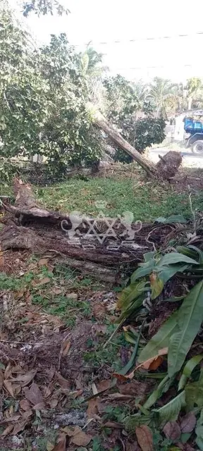 Terreno à venda no Jardim das Gaivotas - Caraguatatuba / SP - Cod. TE0118 — foto 19