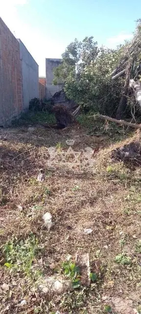 Terreno à venda no Jardim das Gaivotas - Caraguatatuba / SP - Cod. TE0118 — foto 20