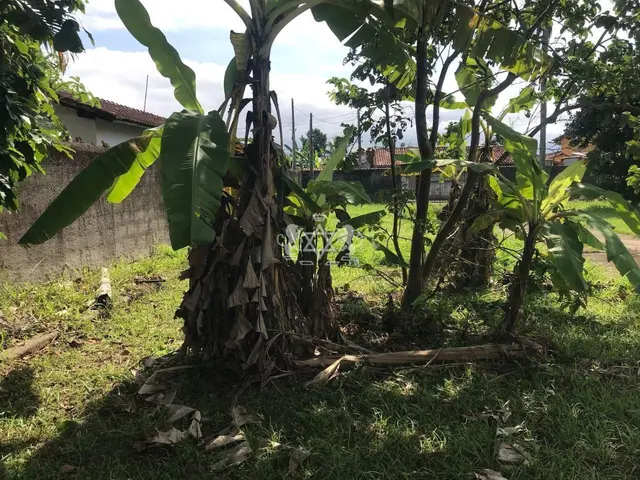 Terreno à venda no Jardim Porto Novo - Caraguatatuba / SP - Cod. TE0119 — foto 19