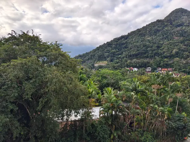 Apartamento à venda na Cidade Jardim - Caraguatatuba / SP - Cod. AP1698 — foto 3