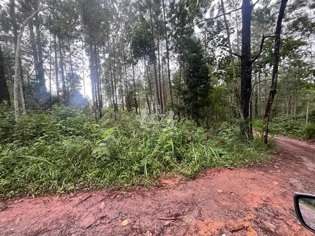 Terreno à venda no Capricórnio II - Caraguatatuba / SP - Cod. TE0085 — foto 14
