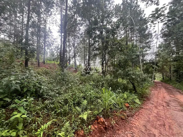 Terreno à venda no Capricórnio II - Caraguatatuba / SP - Cod. TE0085 — foto 12