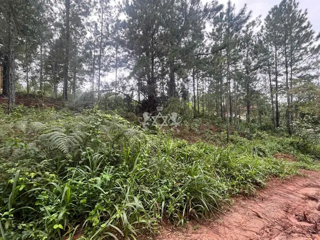 Terreno à venda no Capricórnio II - Caraguatatuba / SP - Cod. TE0085 — foto 7