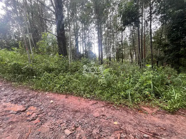 Terreno à venda no Capricórnio II - Caraguatatuba / SP - Cod. TE0085 — foto 13