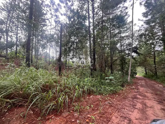Terreno à venda no Capricórnio II - Caraguatatuba / SP - Cod. TE0085 — foto 11