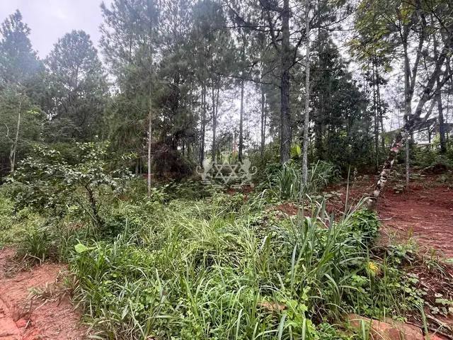 Terreno à venda no Capricórnio II - Caraguatatuba / SP - Cod. TE0085 — foto 2