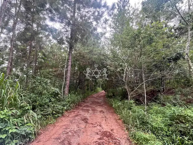 Terreno à venda no Capricórnio II - Caraguatatuba / SP - Cod. TE0085 — foto 6