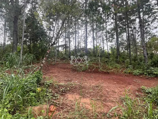 Terreno à venda no Capricórnio II - Caraguatatuba / SP - Cod. TE0085 — foto 3