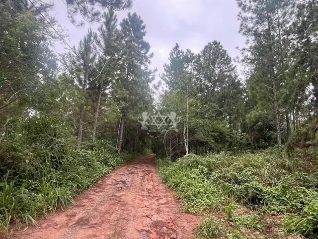 Terreno à venda no Capricórnio II - Caraguatatuba / SP - Cod. TE0085 — foto 5