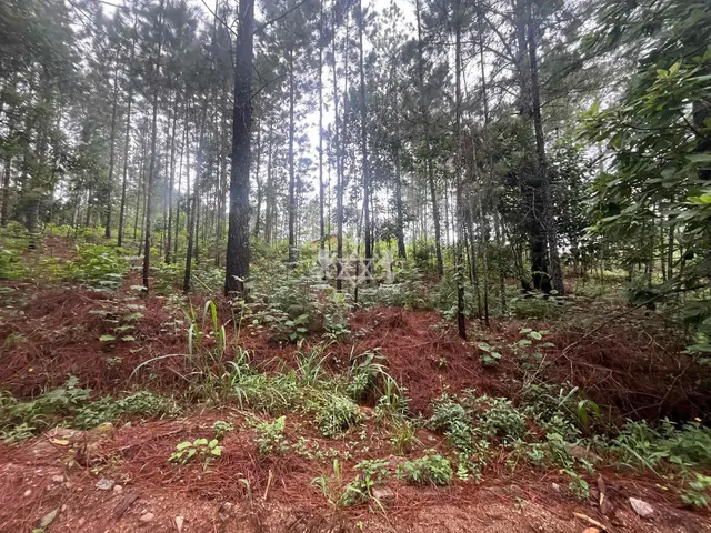 Terreno à venda no Capricórnio II - Caraguatatuba / SP - Cod. TE0085 — foto 10