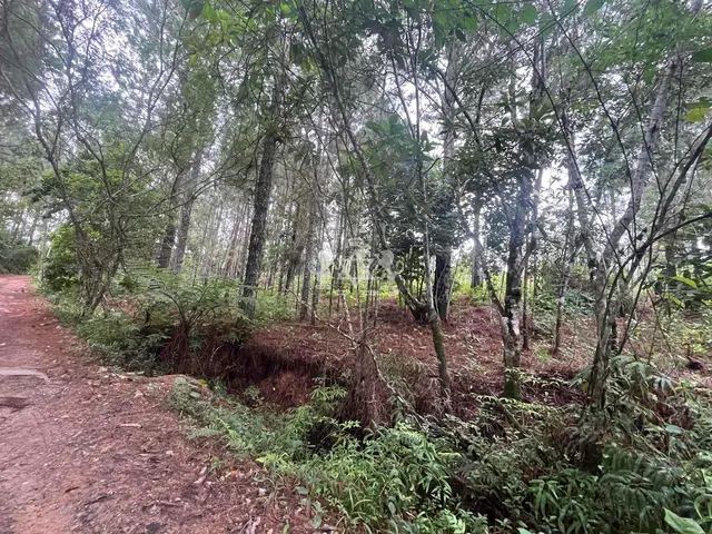 Terreno à venda no Capricórnio II - Caraguatatuba / SP - Cod. TE0085 — foto 8