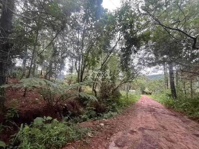Terreno à venda no Capricórnio II - Caraguatatuba / SP - Cod. TE0085 — foto 9