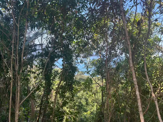 Terreno à venda na Praia Dura - Ubatuba / SP - Cod. TE0083 — foto 25