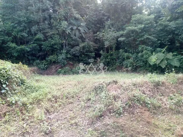Terreno à venda no Park Imperial - Caraguatatuba / SP - Cod. TE0080 — foto 5