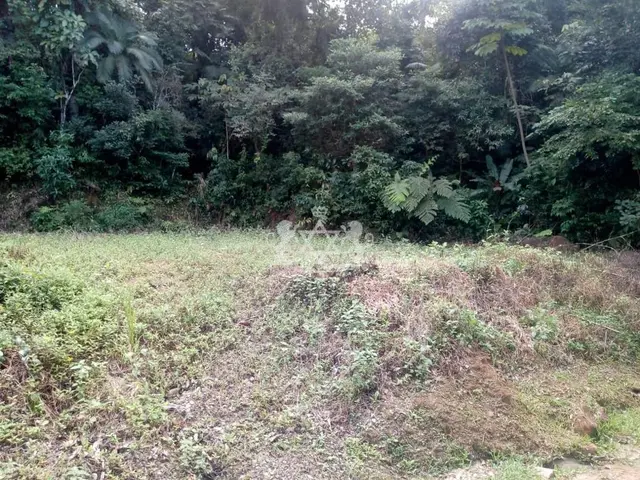 Terreno à venda no Park Imperial - Caraguatatuba / SP - Cod. TE0080 — foto 3