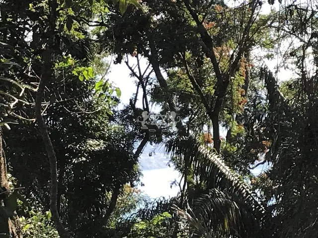 Terreno à venda na Feiticeira - Ilhabela / SP - Cod. TE0131 — foto 5