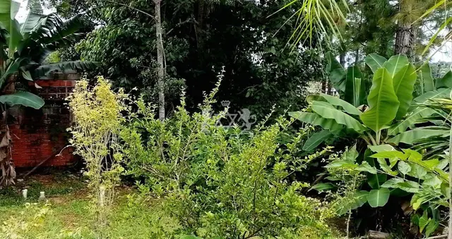 Terreno à venda no Capricórnio II - Caraguatatuba / SP - Cod. TE0071 — foto 12
