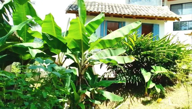 Terreno à venda no Capricórnio II - Caraguatatuba / SP - Cod. TE0071 — foto 25