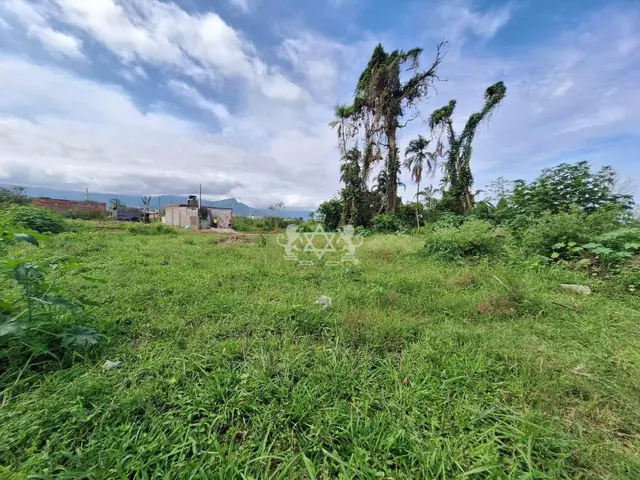 Terreno à venda no Balneário dos Golfinhos - Caraguatatuba / SP - Cod. TE0057 — foto 5