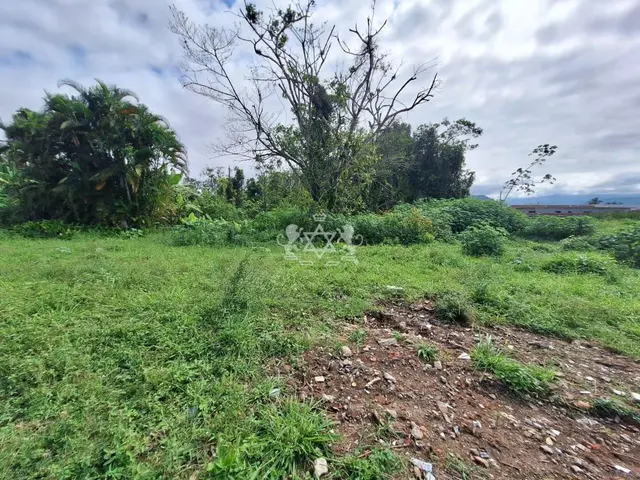 Terreno à venda no Balneário dos Golfinhos - Caraguatatuba / SP - Cod. TE0057 — foto 4