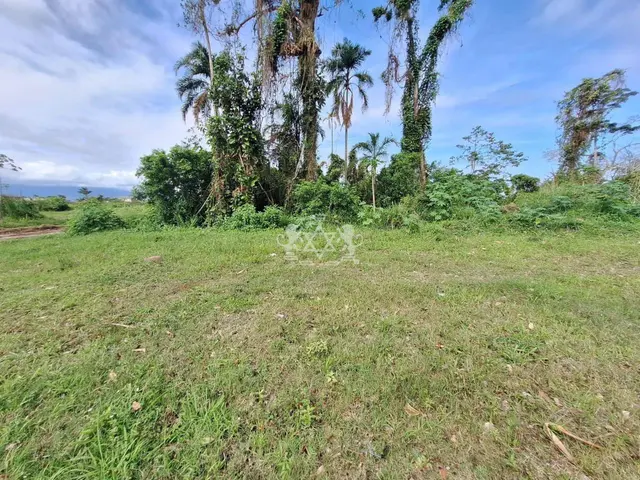 Terreno à venda no Balneário dos Golfinhos - Caraguatatuba / SP - Cod. TE0057 — foto 8