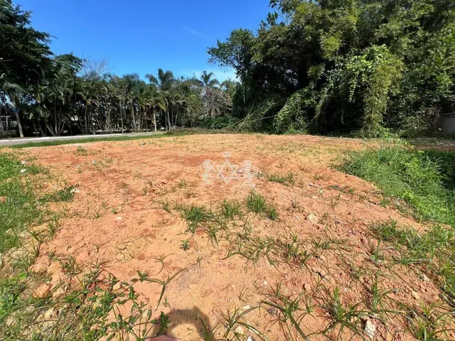 Terreno à venda na Mococa - Caraguatatuba / SP - Cod. TE0052 — foto 6
