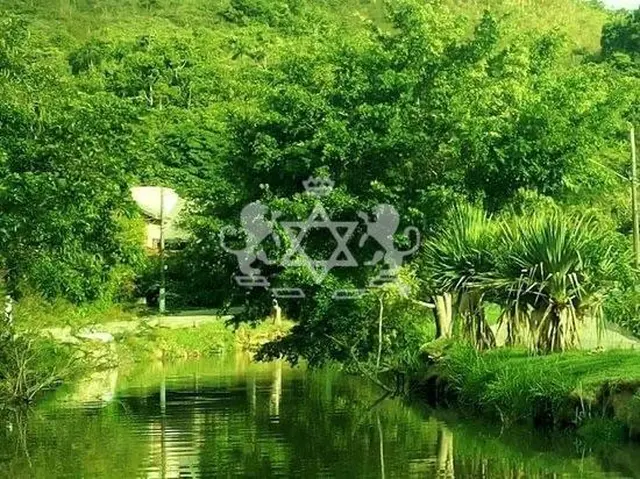 Terreno à venda no Jardim Terralão - Caraguatatuba / SP - Cod. TE0038 — foto 15