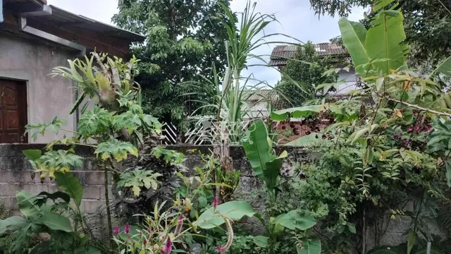Casa à venda no Massaguaçu - Caraguatatuba / SP - Cod. CA0278 — foto 19