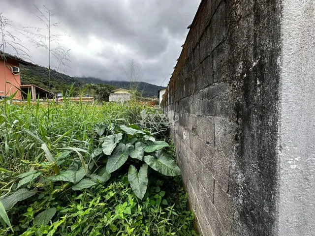 Terreno à venda no Verde Mar - Caraguatatuba / SP - Cod. TE0046 — foto 6