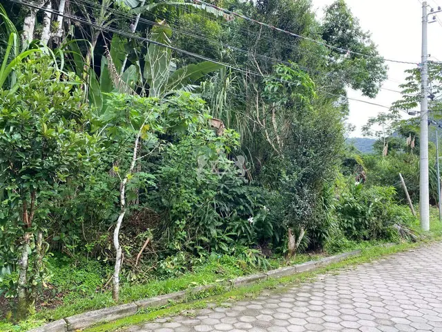 Terreno à venda no Verde Mar - Caraguatatuba / SP - Cod. TE0040 — foto 16