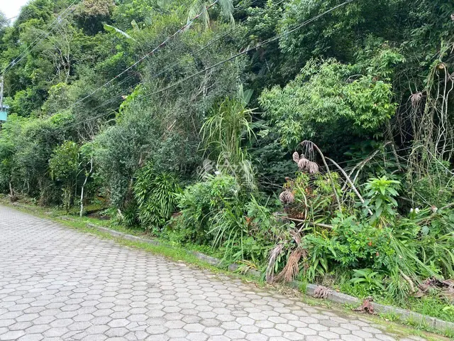 Terreno à venda no Verde Mar - Caraguatatuba / SP - Cod. TE0040 — foto 15
