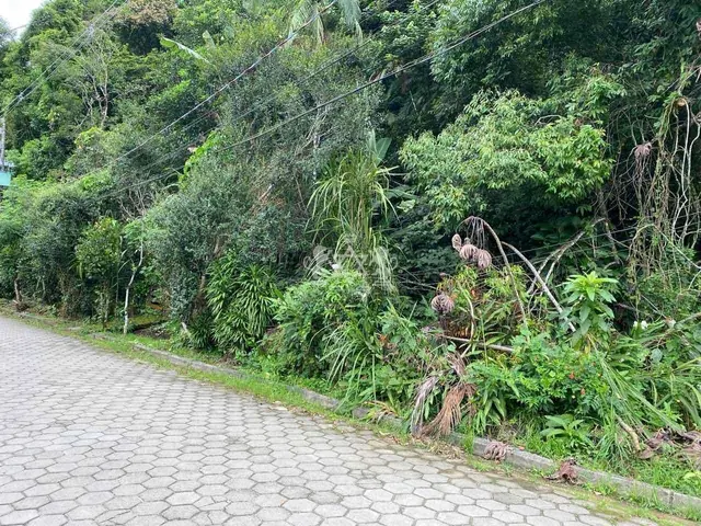 Terreno à venda no Verde Mar - Caraguatatuba / SP - Cod. TE0040 — foto 8