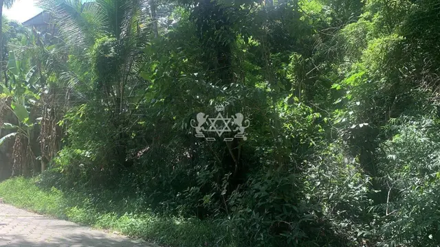 Terreno à venda na Siriúba - Ilhabela / SP - Cod. TE0026 — foto 6