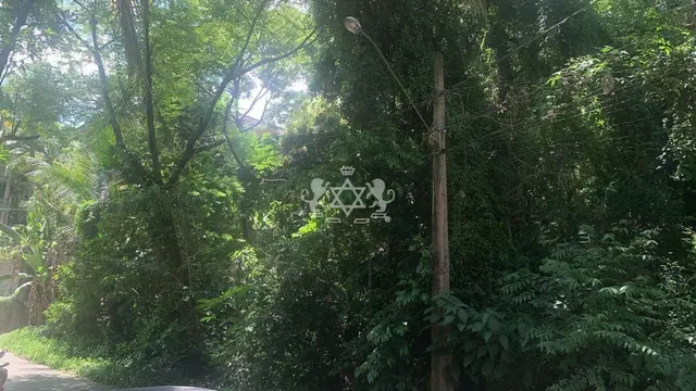 Terreno à venda na Siriúba - Ilhabela / SP - Cod. TE0026 — foto 4