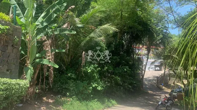 Terreno à venda na Siriúba - Ilhabela / SP - Cod. TE0026 — foto 3