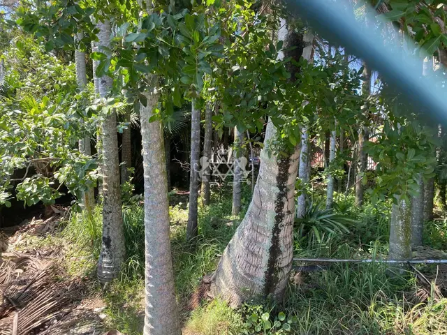Terreno à venda no Porto Novo - Caraguatatuba / SP - Cod. TE0019 — foto 14