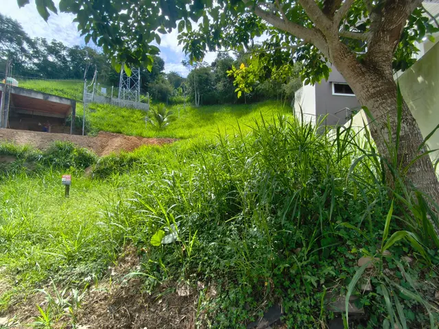 Terreno à venda na Praia do Arrastão - São Sebastião / SP - Cod. TE0561 — foto 8