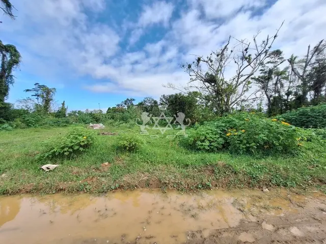 Terreno à venda no Golfinho - Caraguatatuba / SP - Cod. TE0010 — foto 4